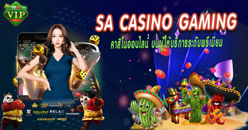คาสิโนออนไลน์บนผู้ให้บริการระดับพรีเมียม